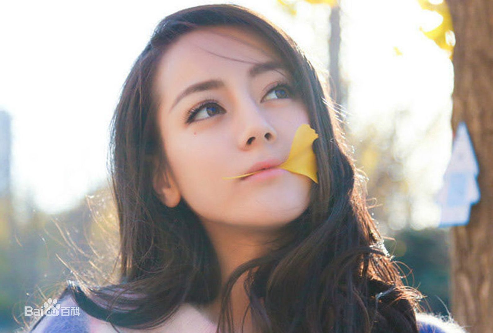 迪丽热巴1992 (4).jpg